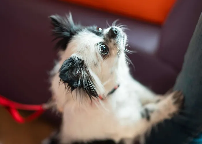 Ibis Liberdade Hotel 2*