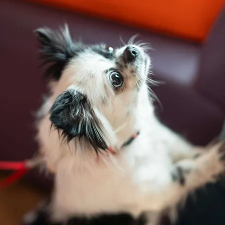 Ibis Liberdade Hotel 2*