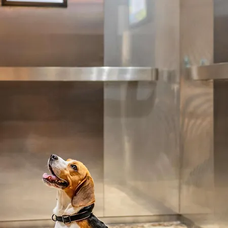 فندق Ibis Liberdade Lisboa